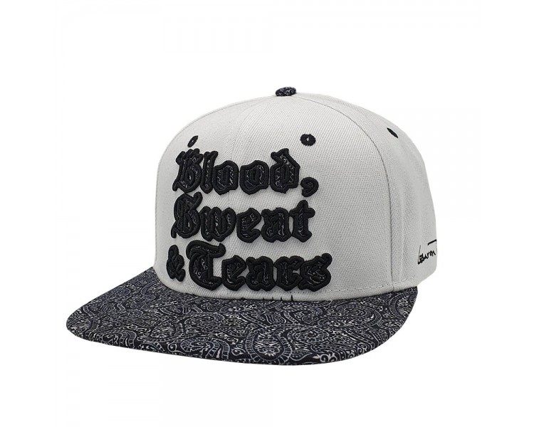 Blood, Sweat & Tears Snapback Pet