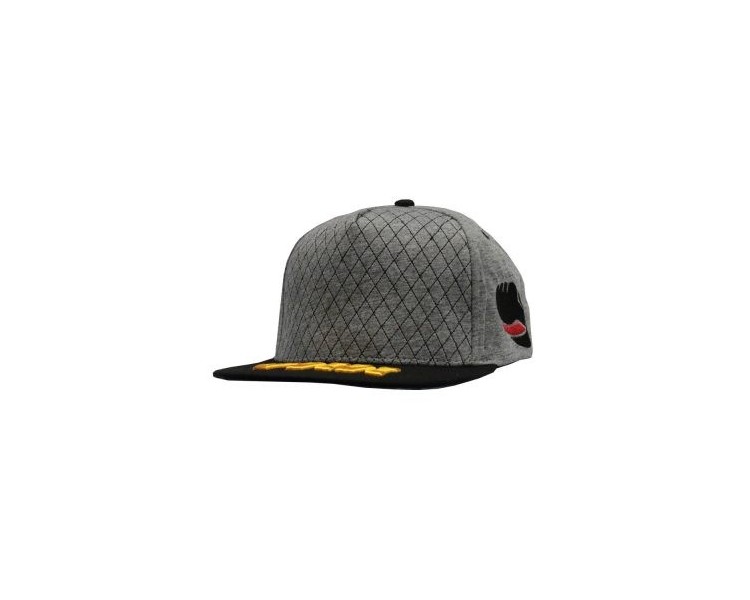 MMA Cage by ‘Gilbert Yvel’ Snapback Pet